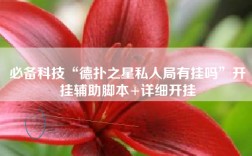 必备科技“德扑之星私人局有挂吗”开挂辅助脚本+详细开挂