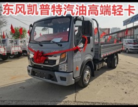 轻卡汽车大全,轻卡卡车报价