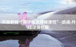 实操教程“微扑克发牌规律性”(透视)开挂详细教程