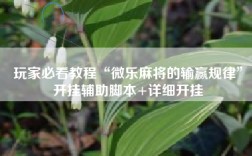 玩家必看教程“微乐麻将的输赢规律”开挂辅助脚本+详细开挂