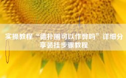 实操教程“德扑圈可以作弊吗”详细分享装挂步骤教程