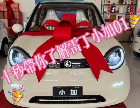 雷丁小加01图片及价格(雷丁小骑士电动汽车报价)