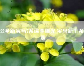 2022全新宝马7系谍照曝光,宝马新七系谍照