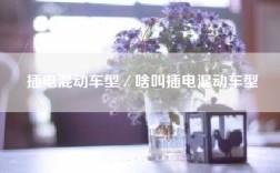 插电混动车型／啥叫插电混动车型