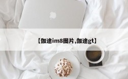 【伽途im8图片,伽途gt】