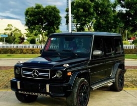 越野车大g(越野车大狗图片)