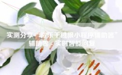 实测分享“微乐干瞪眼小程序辅助器”辅助器 - 实时智能回复