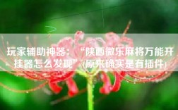 玩家辅助神器：“陕西微乐麻将万能开挂器怎么发现”(原来确实是有插件)