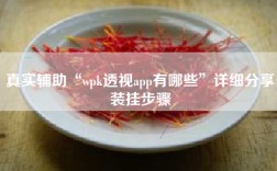 真实辅助“wpk透视app有哪些”详细分享装挂步骤