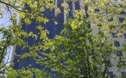 河北软件职业技术学院宿舍／河北软件职业技术学院宿舍怎么样