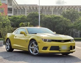 雪佛兰大黄蜂汽车价格／雪佛兰大黄蜂版多少钱