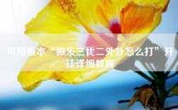 可用版本“微乐三代二外卦怎么打”开挂详细教程