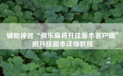 辅助神器“微乐麻将开挂版本客户端”附开挂脚本详细教程