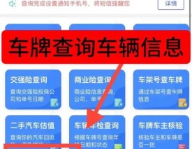车辆号牌查询车主姓名,车辆号牌查询车主姓名信息