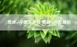 奥迪q5中配多少钱 奥迪q5中配报价