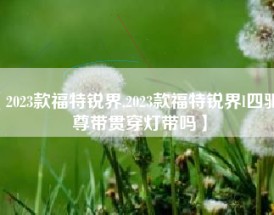 【2023款福特锐界,2023款福特锐界l四驱至尊带贯穿灯带吗】