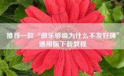 推荐一款“微乐够级为什么不发好牌”通用版下载教程