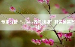 专家分析“wepoker养号规律”其实确实有挂