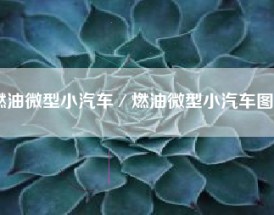 燃油微型小汽车／燃油微型小汽车图片