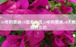 13年的奥迪a4l值多少钱,13年的奥迪a4l大概值什么价