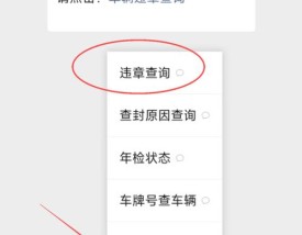 如何查车辆违章记录查询,如何查车辆违章记录查询电话