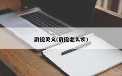 蔚揽英文(蔚揽怎么读)