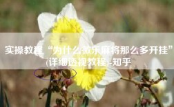 实操教程“为什么微乐麻将那么多开挂”(详细透视教程)-知乎