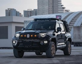 长城魏派500越野车价格(长城魏派300越野版报价)