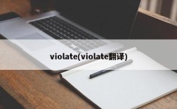 violate(violate翻译)