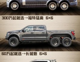 单排座皮卡车,单排座皮卡车尺寸