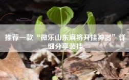 推荐一款“微乐山东麻将开挂神器”详细分享装挂