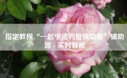 指定教程“一起宁德钓蟹辅助器”辅助器 - 实时智能