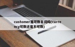 customer是可数名词吗(currency可数还是不可数)