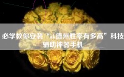 必学教你安装“ak德州胜率有多高”科技辅助神器手机