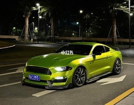 福特野马绿色跑车价格,福特野马mustang绿色