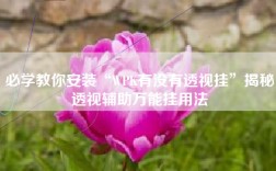 必学教你安装“WPK有没有透视挂”揭秘透视辅助万能挂用法