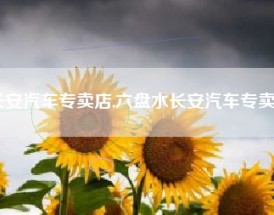 长安汽车专卖店,六盘水长安汽车专卖店