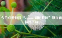 今日必看教程“wepoker辅助开挂”原来有神器下载