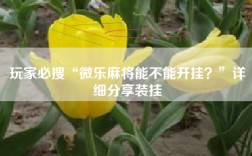 玩家必搜“微乐麻将能不能开挂？”详细分享装挂