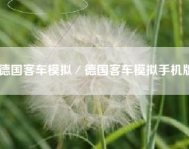 德国客车模拟／德国客车模拟手机版