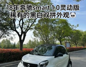 奔驰smart油车,奔驰smart油车一年养车多少钱