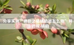 分享实测“德扑之星辅助器怎么用”开挂(透视)辅助