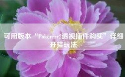 可用版本“Pokerrrr2透视插件购买”详细开挂玩法