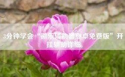 3分钟学会“微乐辅助器安卓免费版”开挂辅助详细