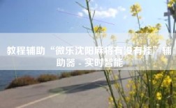 教程辅助“微乐沈阳麻将有没有挂”辅助器 - 实时智能