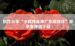 软件分享“小程序雀神广东麻将挂”原来有神器下载