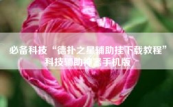 必备科技“德扑之星辅助挂下载教程”科技辅助神器手机版