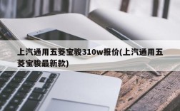 上汽通用五菱宝骏310w报价(上汽通用五菱宝骏最新款)