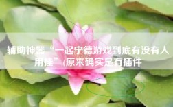 辅助神器“一起宁德游戏到底有没有人用挂”(原来确实是有插件