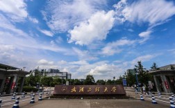 武汉工程大学是985还是211／武汉工程大学是本科还是专科